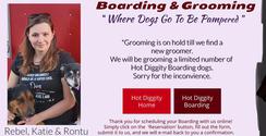 Katie at Hot Diggity Grooming with her 2 dogs